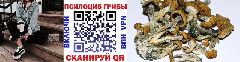гидра tor  Нерюнгри  Псилоцибиновые грибы Psilocybine cubensis  наркошоп 