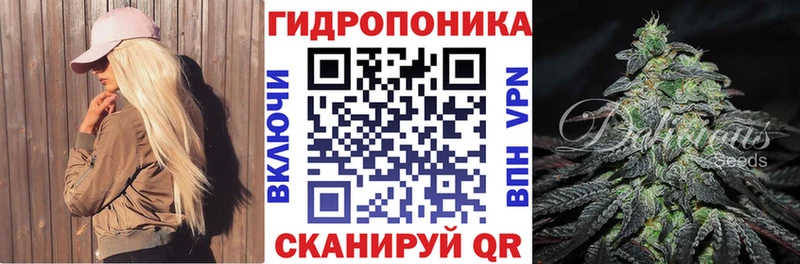 Конопля OG Kush  Нерюнгри 